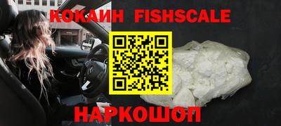 тгк Партизанск