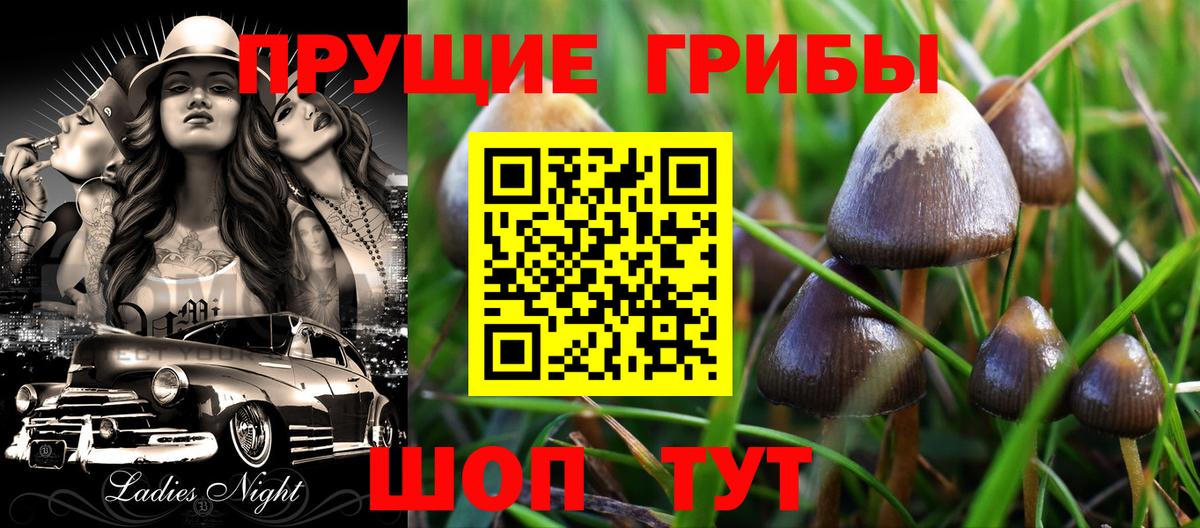 Соликамск  Псилоцибиновые грибы мухоморы  Вход с VPN 